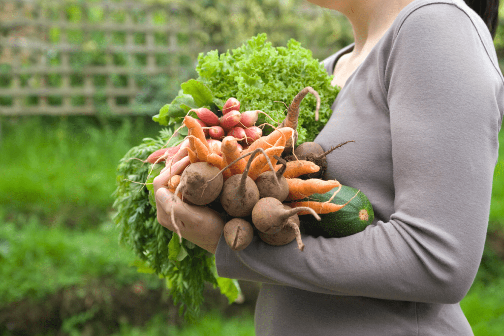 woman carrying different vegetables harvested from her garden in her hands 