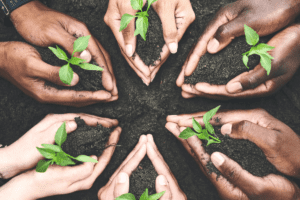 six pair of hands holding vegetable seedlings, representing sustainability