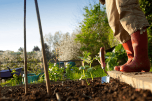 a vegetable garden needs to be level