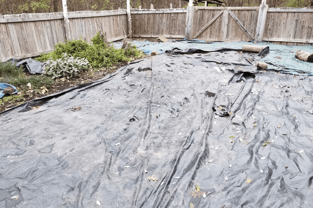 Should I cover my vegetable garden in winter? Growing Happy Plants