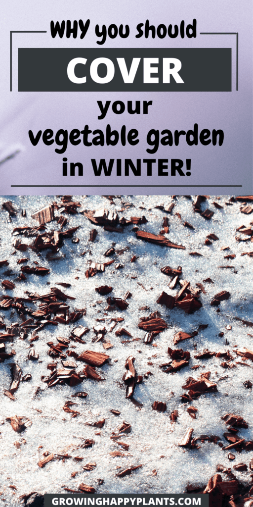 Should I cover my vegetable garden in winter? Growing Happy Plants